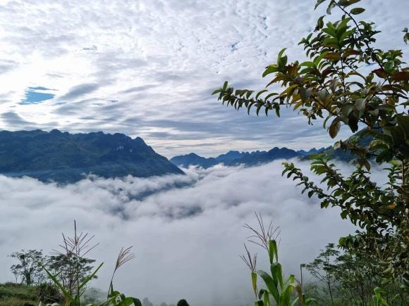 săn mây, săn mây ở Đà Lạt, săn mây ở Tà Xùa,