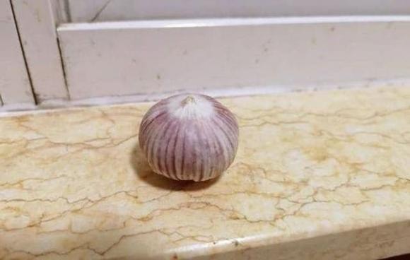 tỏi đen, cách làm tỏi đen, món ngon mỗi ngày