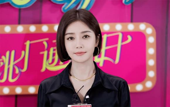 Tần Lam, Tần Lam thẩm mỹ, sao Hoa ngữ