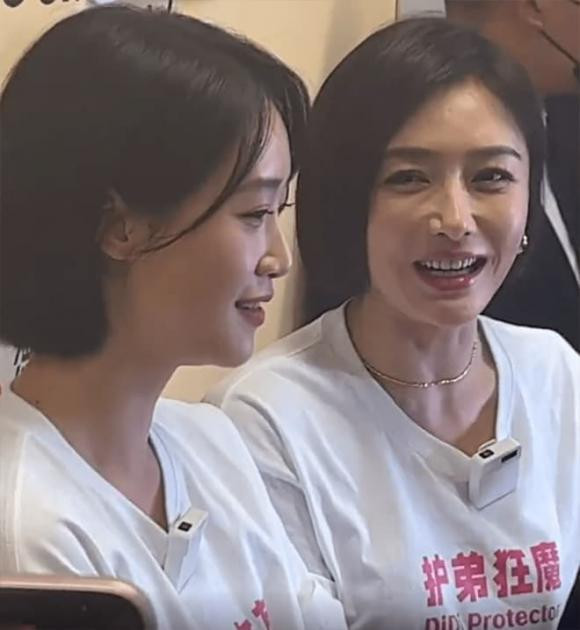 Tần Lam, Tần Lam thẩm mỹ, sao Hoa ngữ