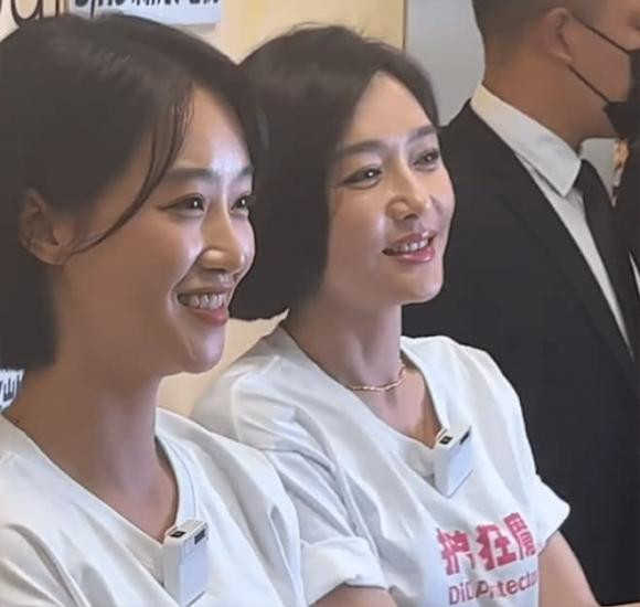 Tần Lam, Tần Lam thẩm mỹ, sao Hoa ngữ
