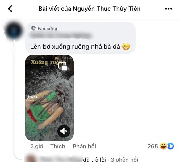 Thùy Tiên, Miss Grand International, sao việt