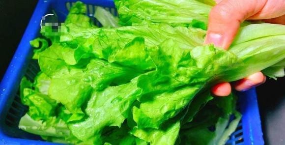 xào rau, mẹo nấu ăn, dạy nấu ăn, rau xà lách