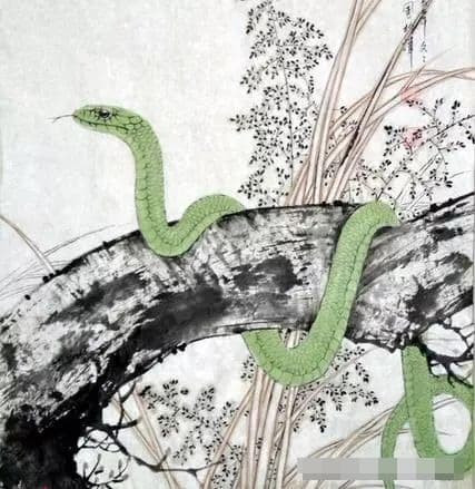 tử vi, con giáp, tử vi ngày 4/11