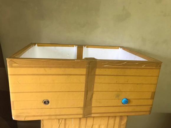 trồng cây, trồng rau, kiến thức 