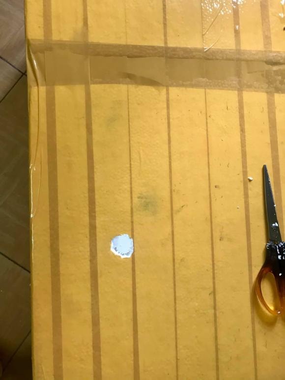 trồng cây, trồng rau, kiến thức 