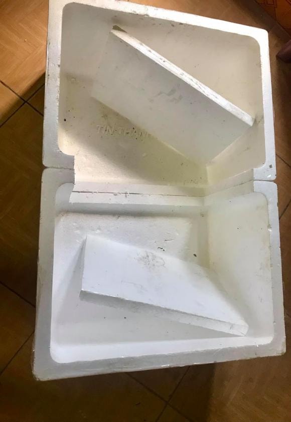 trồng cây, trồng rau, kiến thức 