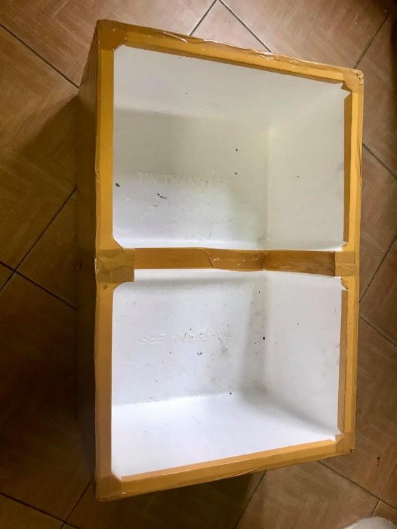 trồng cây, trồng rau, kiến thức 