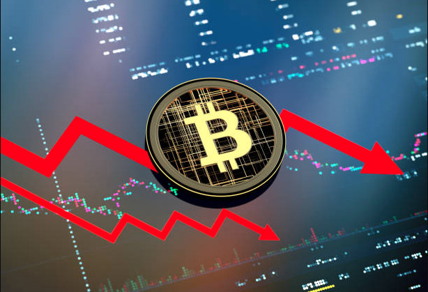 900 ảnh đẹp nhất về Bitcoin  Tải xuống miễn phí 100  Ảnh có sẵn của  Pexels