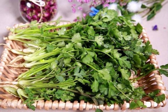 rau mùi, bảo quản, ngò rí, mẹo hay