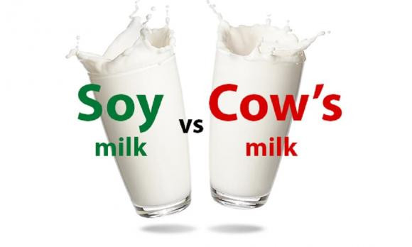 sữa bò, sữa đậu nành, sữa bò và sữa đậu nành, so sánh sữa bò và sữa đậu nành 