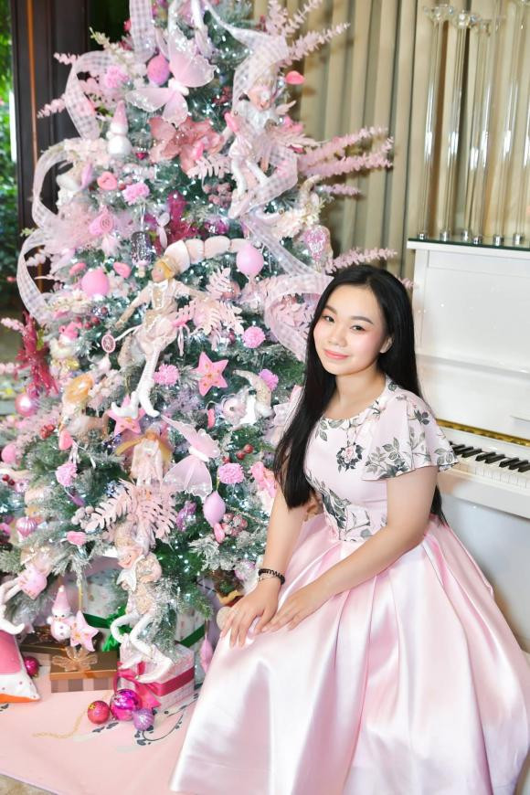 Đàm Vĩnh Hưng, sao việt, ca sĩ Đàm Vĩnh Hưng