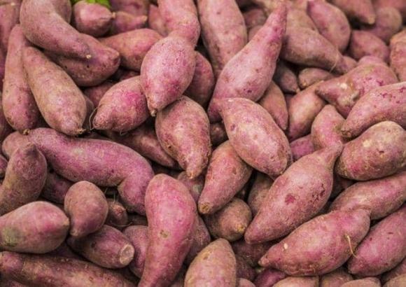 khoai lang sấy, khoai lang khô, dạy nấu ăn