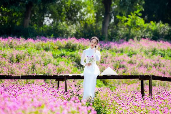 thảo nguyên hoa Long Biên, địa điểm đẹp ở Hà Nội, vườn hoa