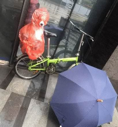 chú chó, con chó, vật nuôi, che chắn