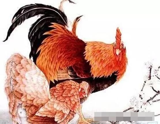 tử vi, con giáp, tử vi năm 2023