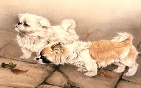 tử vi, con giáp, cung hoàng đạo, tử vi 5 năm tới