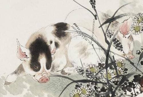 tử vi, con giáp, cung hoàng đạo, tử vi 5 năm tới