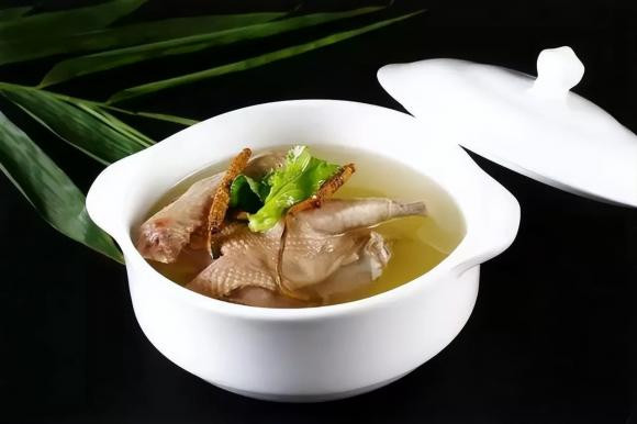 chim bồ câu, thịt chim bồ câu, 1 con chim bồ câu còn tốt hơn 9 con gà, tác dụng chim bồ câu