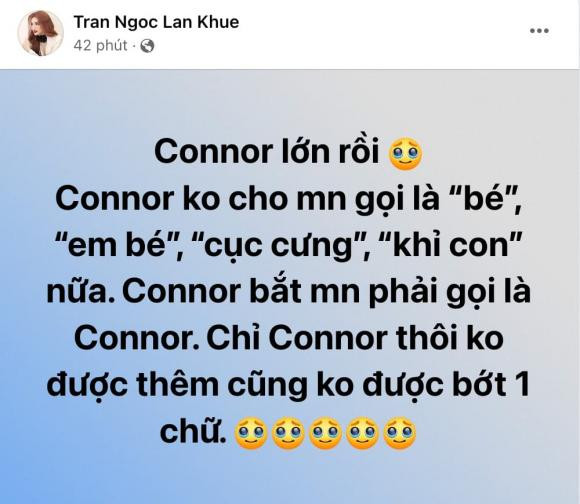 Hoa khôi Lan Khuê,con trai Lan Khuê,sao Việt