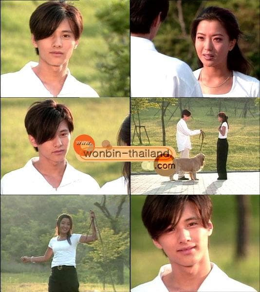 won bin, kim hee sun, sao hàn 