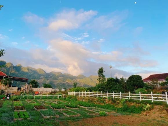 nhà ở Mộc Châu, Mộc Châu, vườn rau sạch