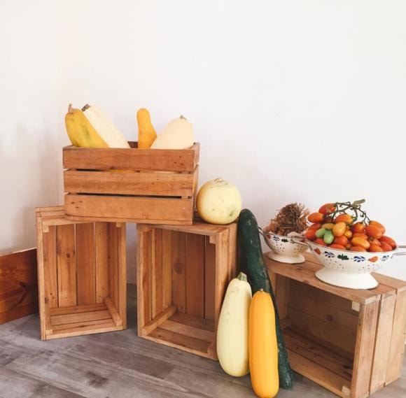 nhà ở Mộc Châu, Mộc Châu, vườn rau sạch