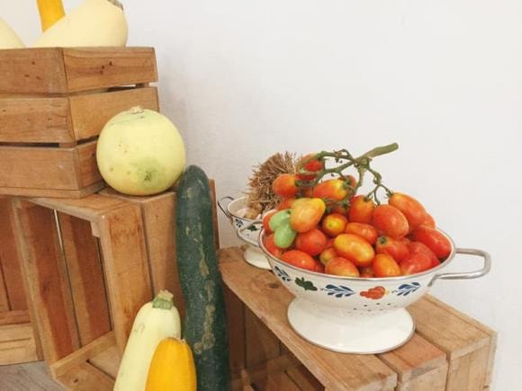 nhà ở Mộc Châu, Mộc Châu, vườn rau sạch
