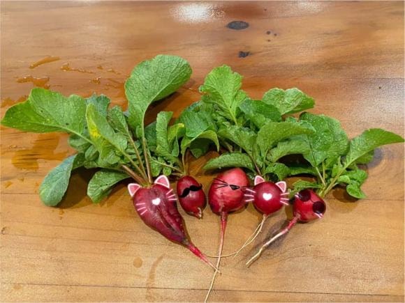 nhà ở Mộc Châu, Mộc Châu, vườn rau sạch