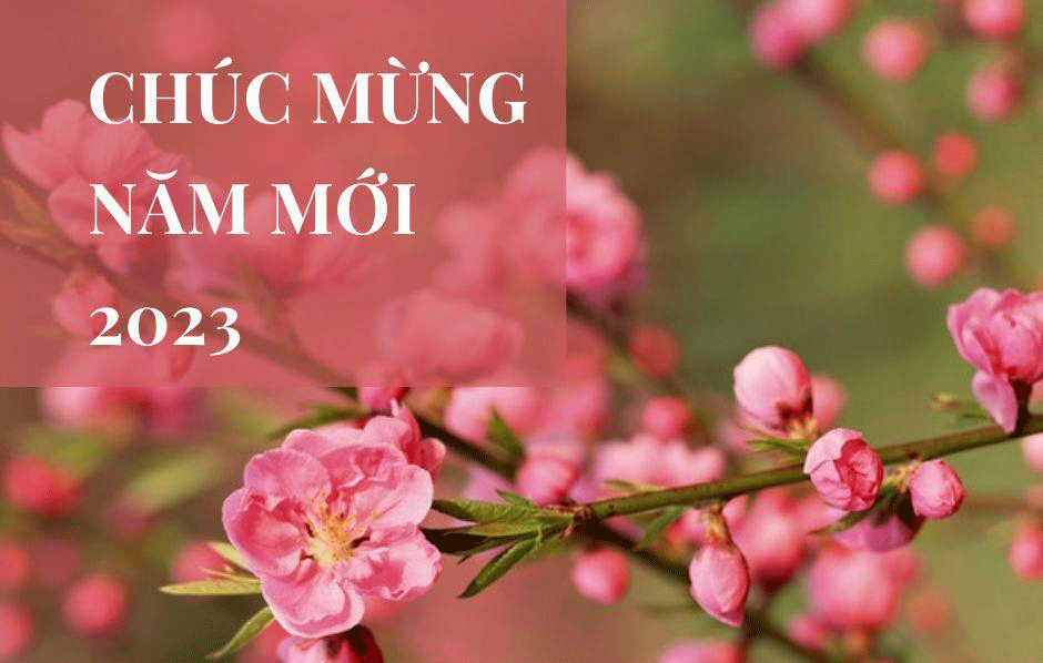 ban-bi-thu-nghiem-cam-tang-qua-chuc-tet-cap-tren.gif