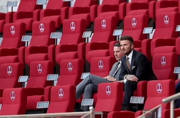 David Beckham, sao Hollywood, World Cup Qatar