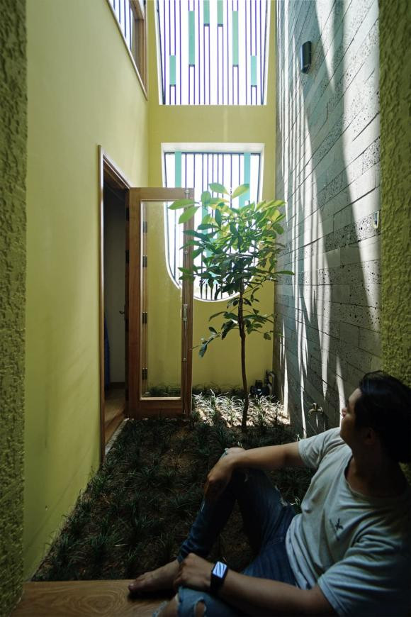 trồng cây, trồng cây trong nhà, mẫu nhà đẹp 