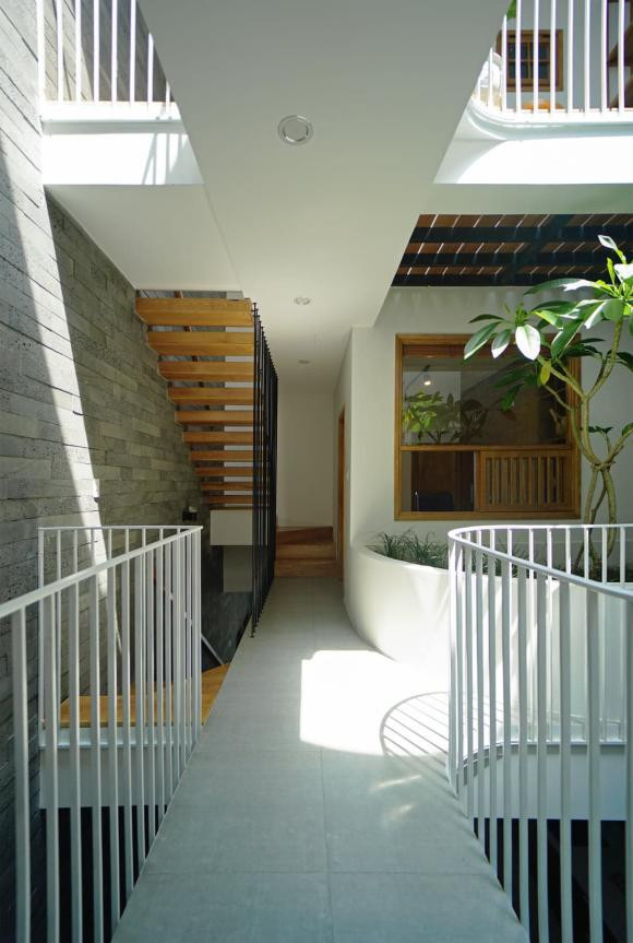 trồng cây, trồng cây trong nhà, mẫu nhà đẹp 