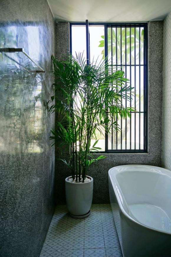 trồng cây, trồng cây trong nhà, mẫu nhà đẹp 