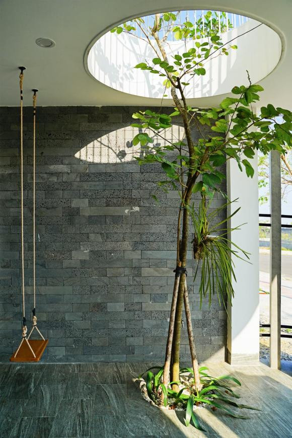 trồng cây, trồng cây trong nhà, mẫu nhà đẹp 