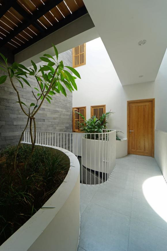 trồng cây, trồng cây trong nhà, mẫu nhà đẹp 