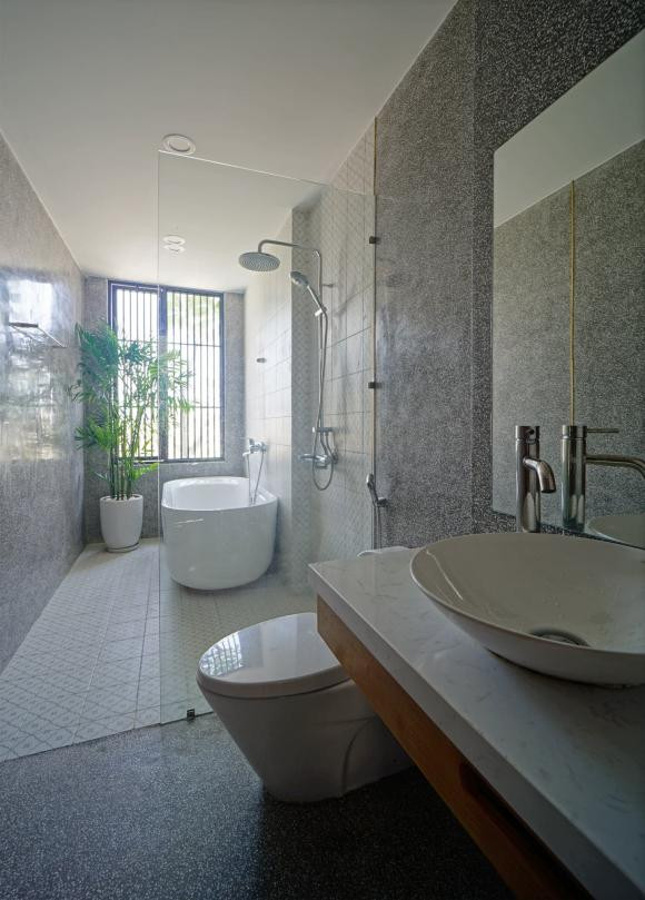 trồng cây, trồng cây trong nhà, mẫu nhà đẹp 