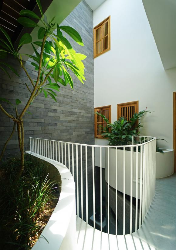 trồng cây, trồng cây trong nhà, mẫu nhà đẹp 