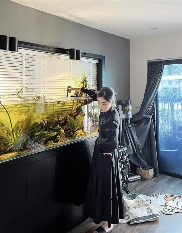 diễn viên Bình An, á hậu Phương Nga, sao Việt