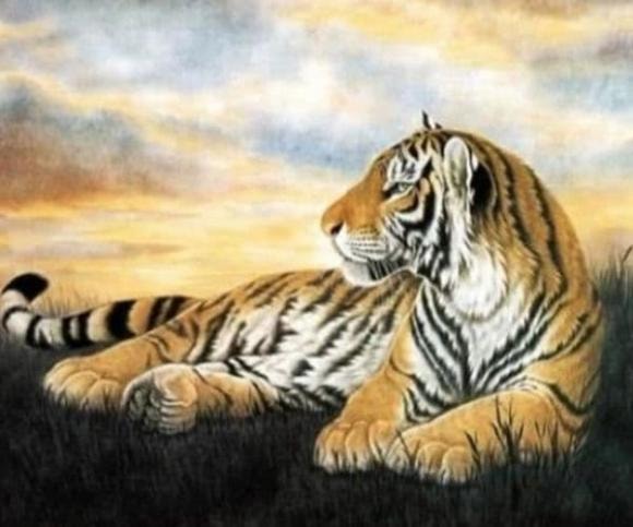 dần, tử vi, con giáp, cung hoàng đạo, tử vi tháng 12