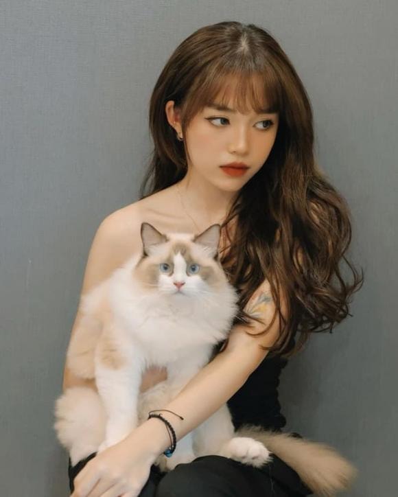 Linh Ngọc Đàm, bạn trai Linh Ngọc Đàm, streamer