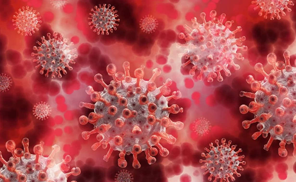 WHO: Không phát hiện biến thể mới của virus SARS-CoV-2 tại Trung Quốc