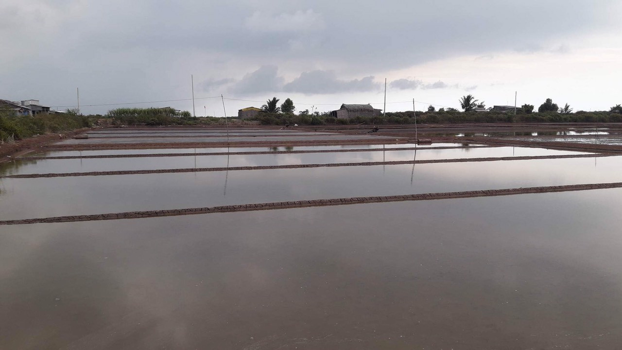 Bạc Liêu: Diêm dân gặp khó vì mưa trái mùa