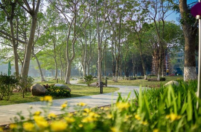 Ecopark đưa vào hoạt động cung đường dạo bộ đẹp nhất miền Bắc