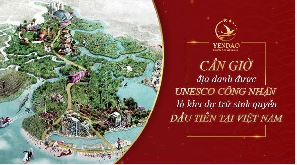 Tầm nhìn phát triển bền vững của Yến Đảo Cần Giờ 