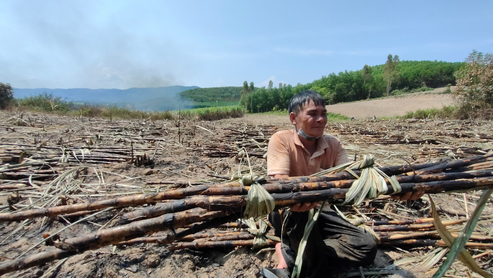  Người dân trồng mía ở Gia Lai khóc ròng vì bị cháy
