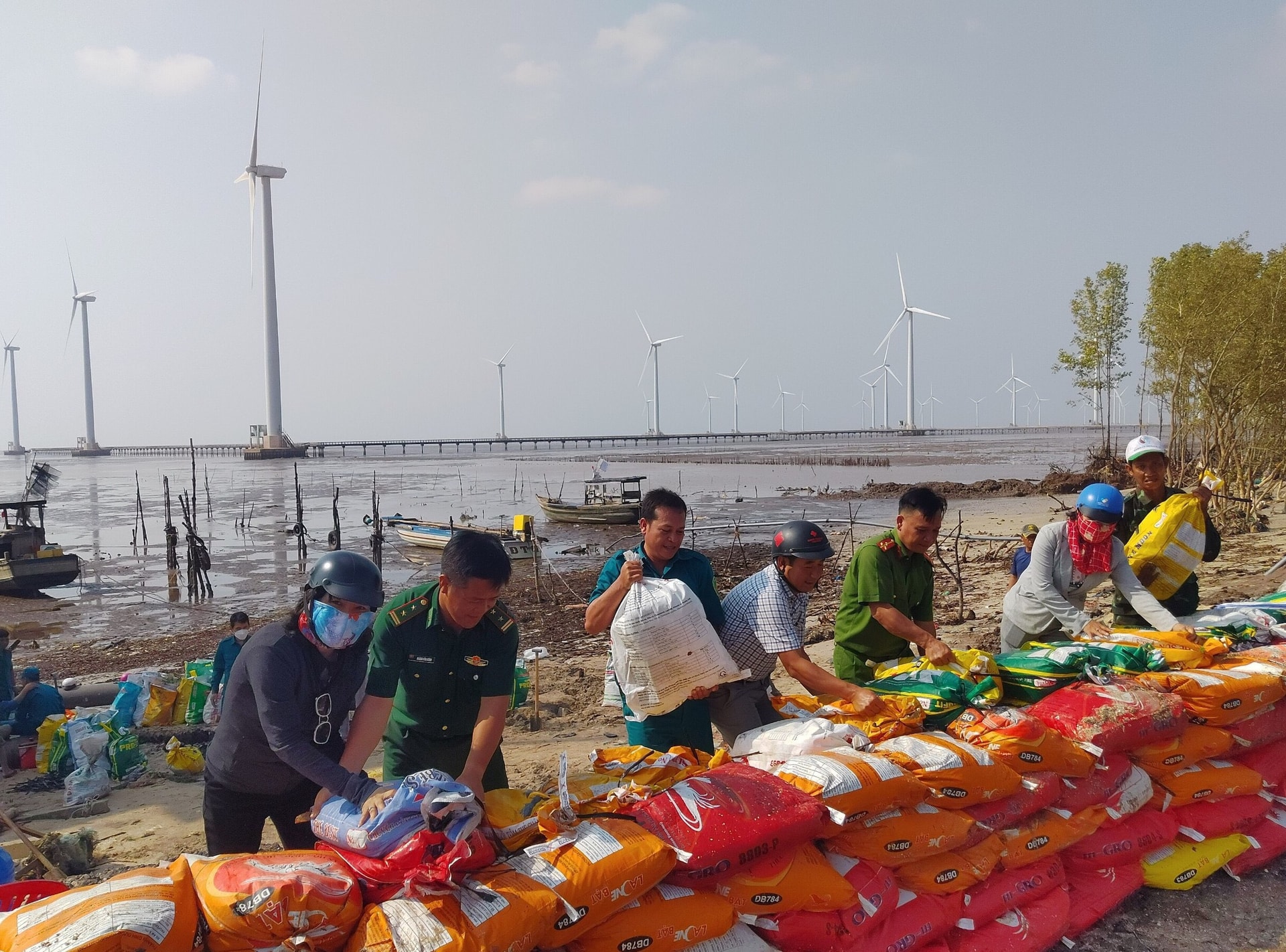 Đã tìm ra nguyên nhân gây sạt lở đê biển Đông