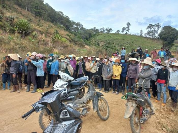 Sự thật phía sau thông tin “người K'Ho ở Lâm Đồng bị cướp đất”