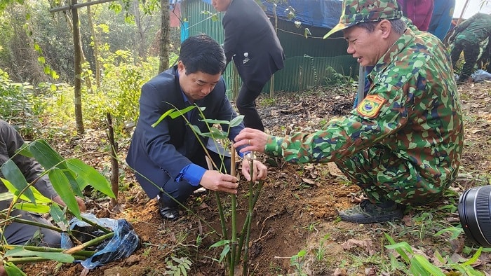 Triển khai mô hình “Lũy tre biên giới Việt Nam”