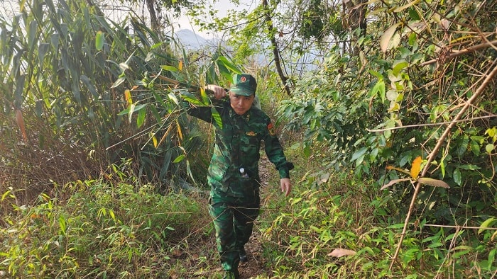 Triển khai mô hình “Lũy tre biên giới Việt Nam”